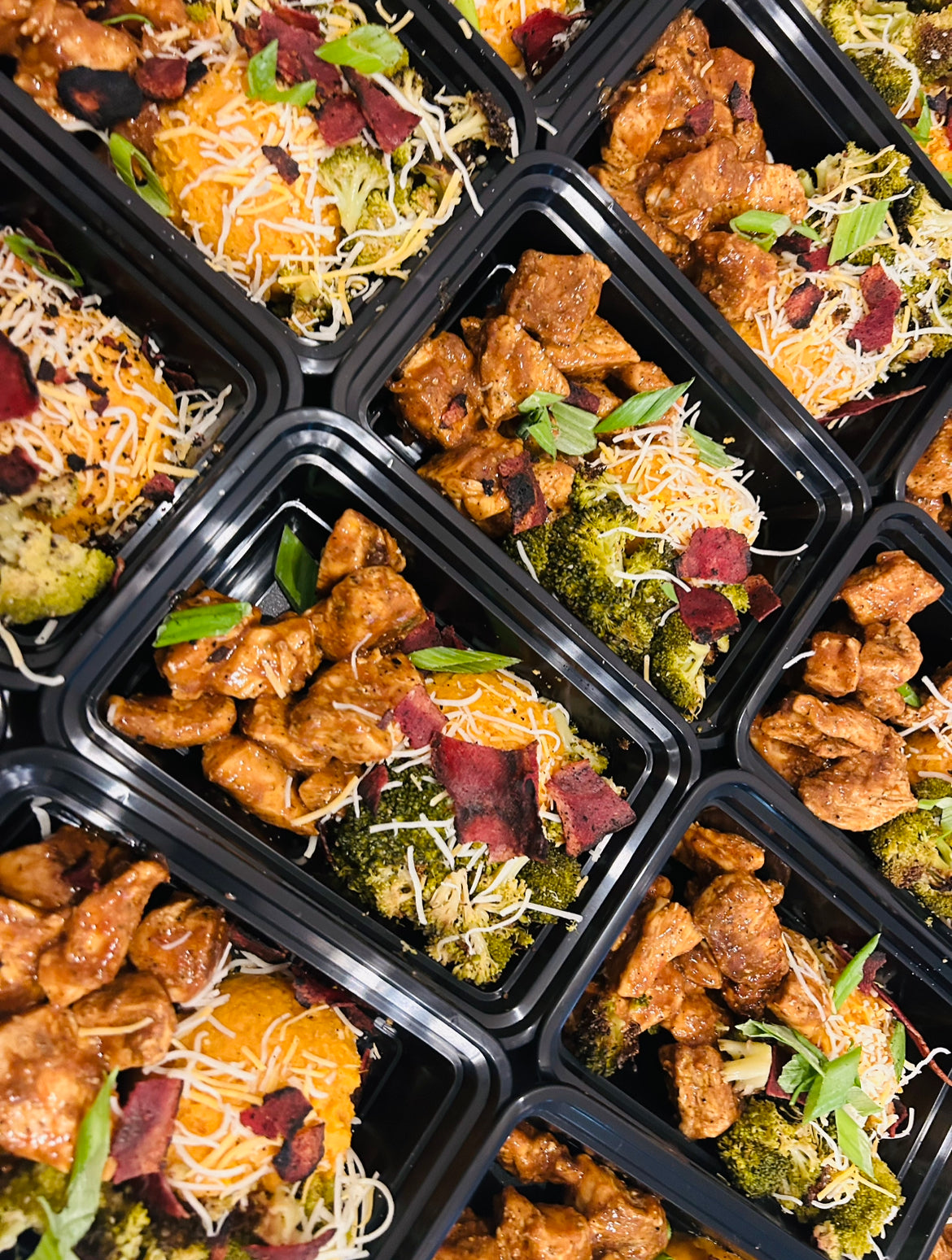 2-Week Bundle|20 meals per Week